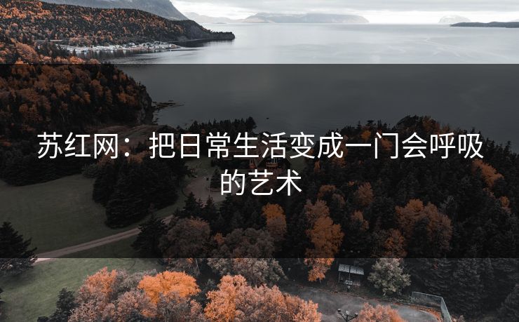 苏红网：把日常生活变成一门会呼吸的艺术